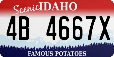 ID license plate 4B4667X