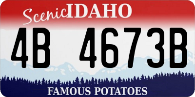 ID license plate 4B4673B