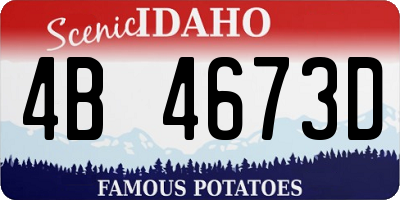 ID license plate 4B4673D