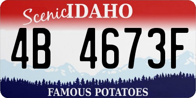 ID license plate 4B4673F