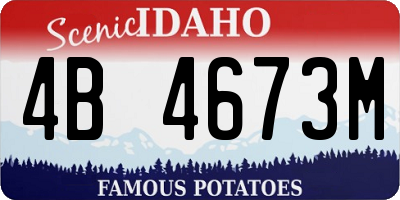 ID license plate 4B4673M