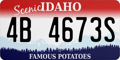 ID license plate 4B4673S