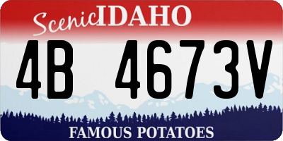 ID license plate 4B4673V