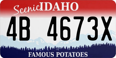 ID license plate 4B4673X