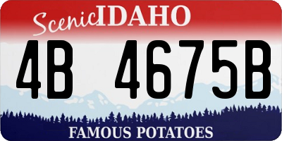 ID license plate 4B4675B