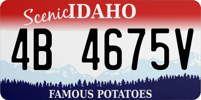 ID license plate 4B4675V