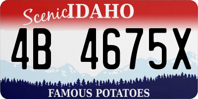 ID license plate 4B4675X