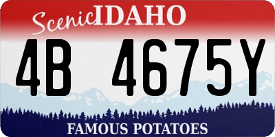ID license plate 4B4675Y
