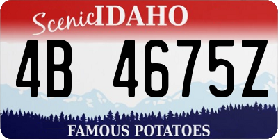 ID license plate 4B4675Z