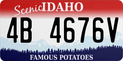 ID license plate 4B4676V