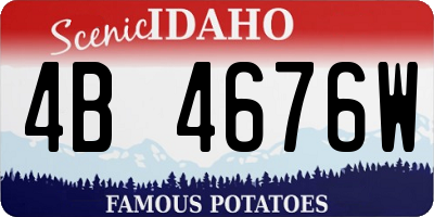 ID license plate 4B4676W