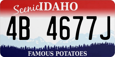 ID license plate 4B4677J
