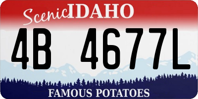 ID license plate 4B4677L