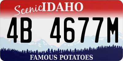 ID license plate 4B4677M
