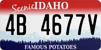 ID license plate 4B4677V
