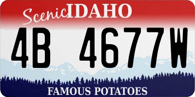 ID license plate 4B4677W