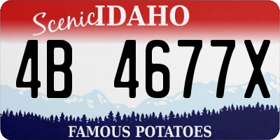 ID license plate 4B4677X
