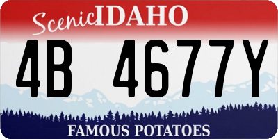 ID license plate 4B4677Y