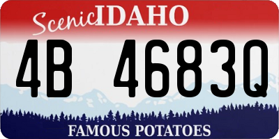 ID license plate 4B4683Q