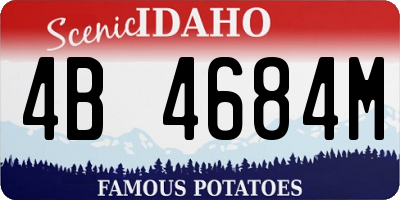 ID license plate 4B4684M
