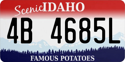 ID license plate 4B4685L