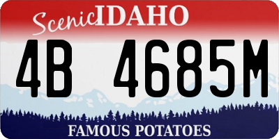 ID license plate 4B4685M