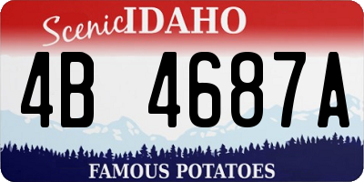 ID license plate 4B4687A