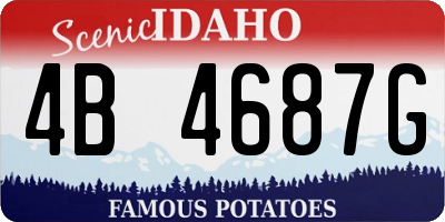 ID license plate 4B4687G