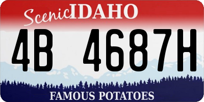 ID license plate 4B4687H