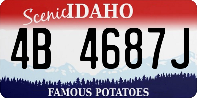 ID license plate 4B4687J