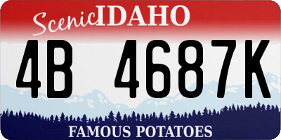 ID license plate 4B4687K
