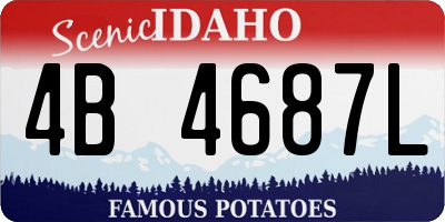 ID license plate 4B4687L