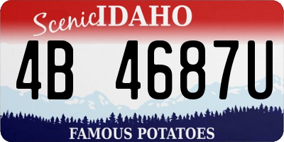 ID license plate 4B4687U