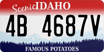 ID license plate 4B4687V