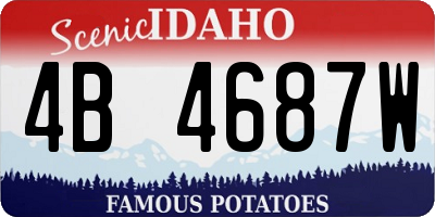 ID license plate 4B4687W