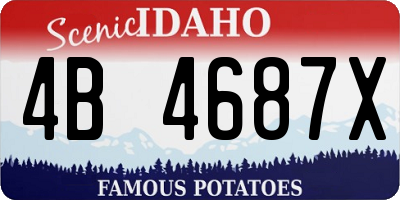 ID license plate 4B4687X