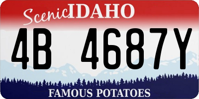 ID license plate 4B4687Y