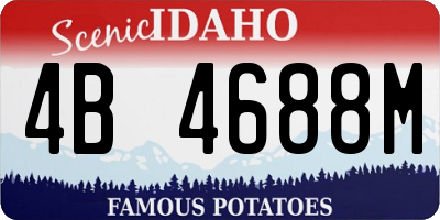 ID license plate 4B4688M
