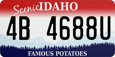ID license plate 4B4688U