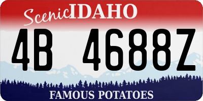 ID license plate 4B4688Z