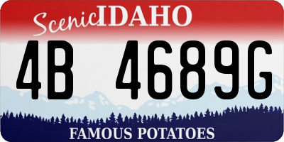 ID license plate 4B4689G