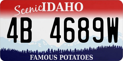 ID license plate 4B4689W
