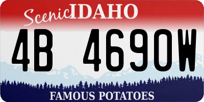ID license plate 4B4690W