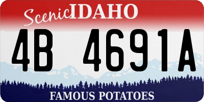 ID license plate 4B4691A