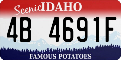 ID license plate 4B4691F