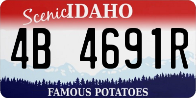 ID license plate 4B4691R