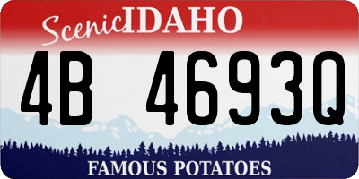 ID license plate 4B4693Q