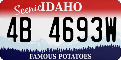 ID license plate 4B4693W