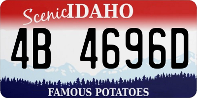 ID license plate 4B4696D