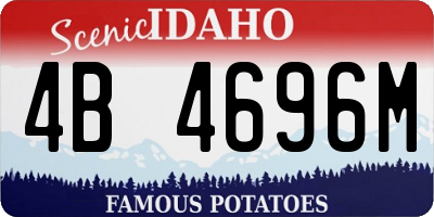 ID license plate 4B4696M